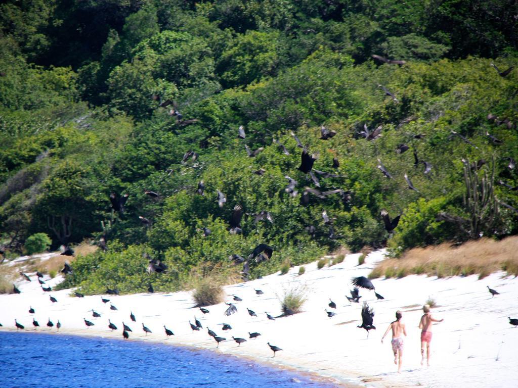Pousada La Bonita Baía Formosa Extérieur photo