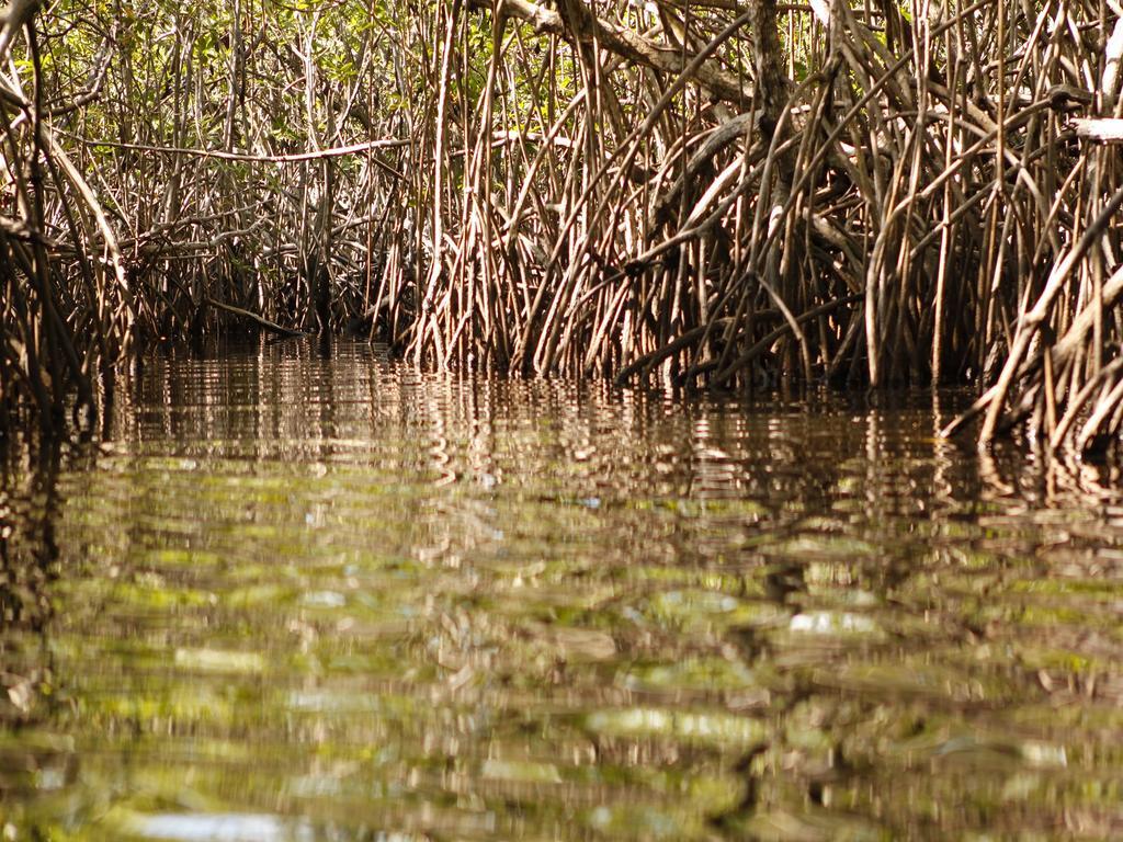 Pousada La Bonita Baía Formosa Extérieur photo