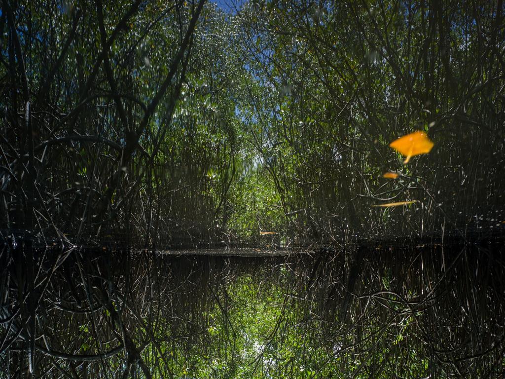 Pousada La Bonita Baía Formosa Extérieur photo